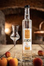 Jesche Marillenbrand 0,5l